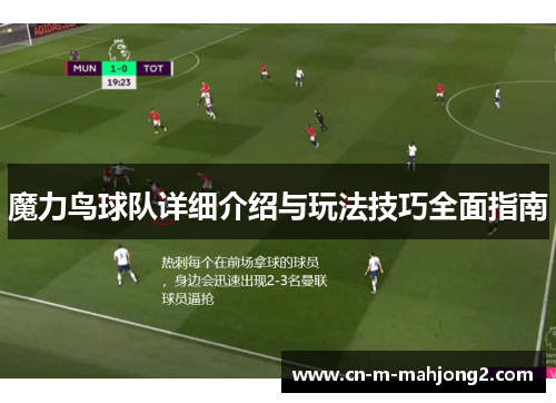 魔力鸟球队详细介绍与玩法技巧全面指南